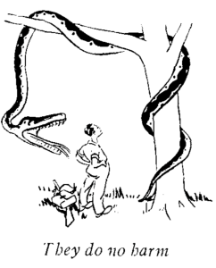 Screen Shot 2016-07-12 at 3.56.00 PM